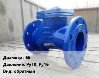 Клапан стальной 65 Ру10, Ру16 обратный